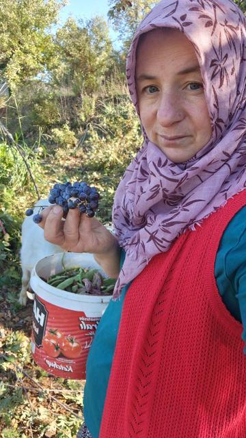Fenomen öyle olunmaz, böyle olunur!