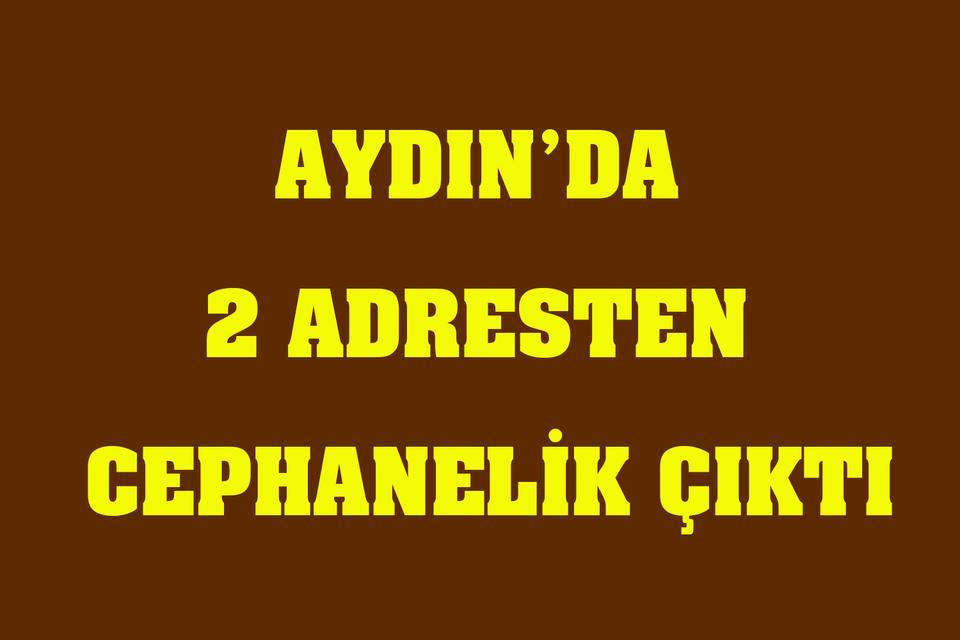 Aydın’da 2 adresten cephanelik çıktı