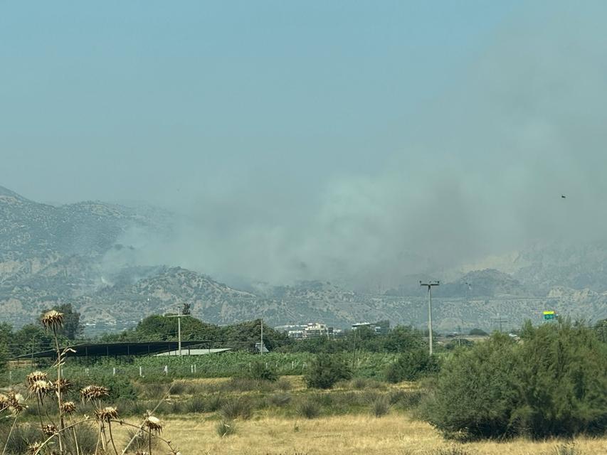 Zirai yangına havadan ve karadan büyük mücadele