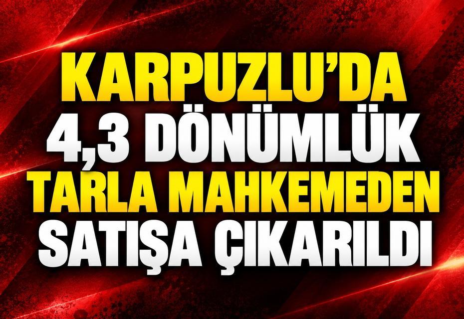 Karpuzlu'da 4,3 dönümlük tarla mahkemeden satışa çıkarıldı