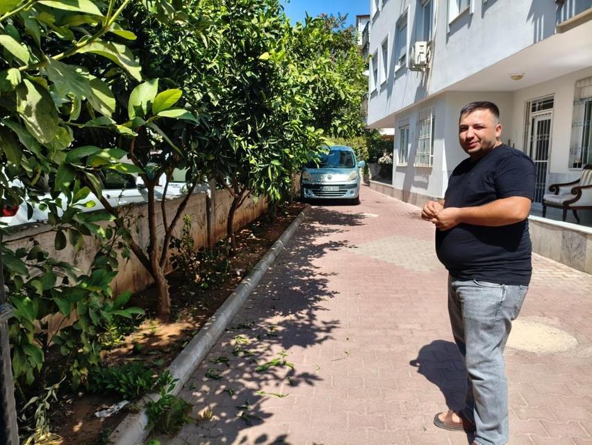 Ağaçtan portakal kopartma kavgası: 2 yaralı