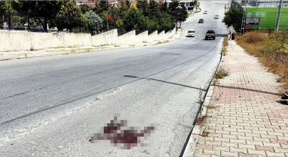 Mezarlık önünde kardeş kavgası cinayetle bitti: 1 ölü