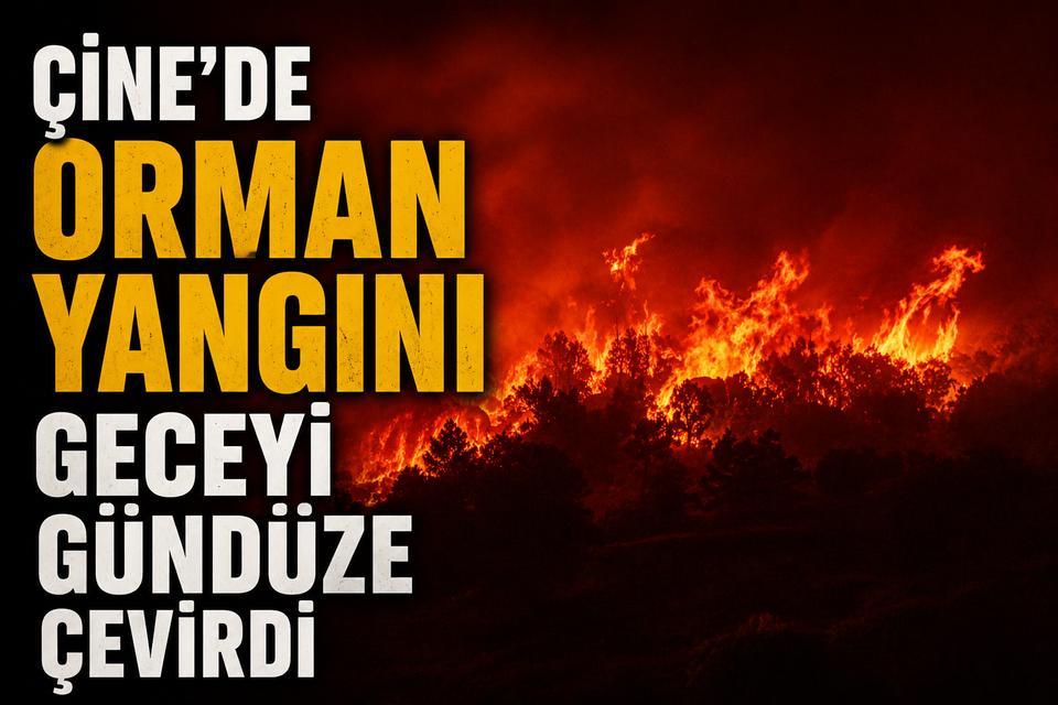 Çine'de orman yangını geceyi gündüze çevirdi