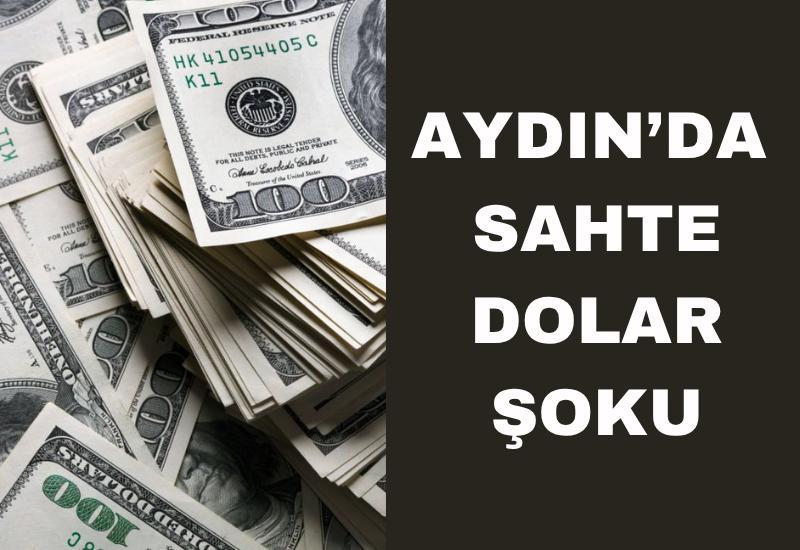 Aydın’da sahte dolar şoku