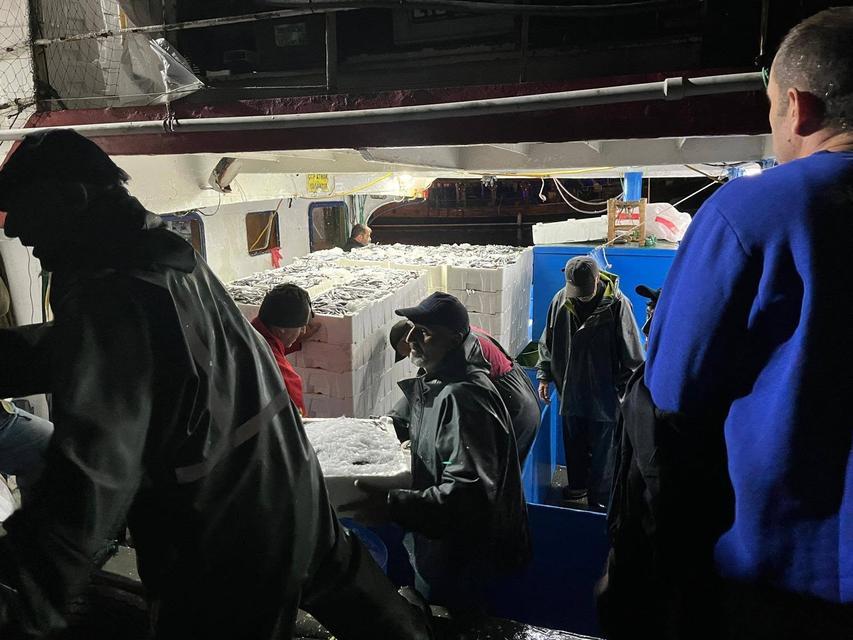 Didim’de hamsi kotasına sıkı denetim devam ediyor