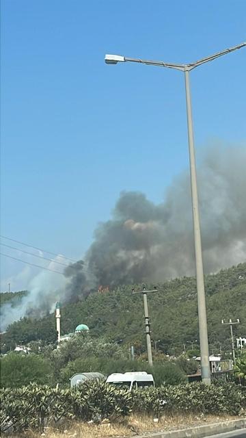 Ormanlık alanda yangın başladı