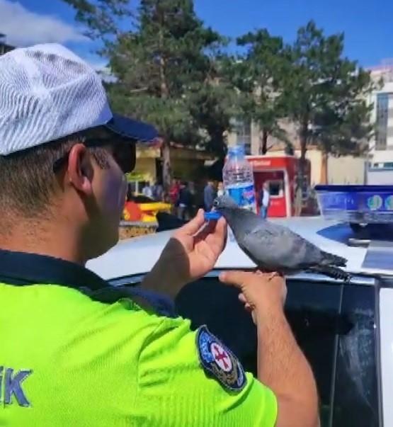 Güvercine su içiren trafik polisi yürekleri ısıttı