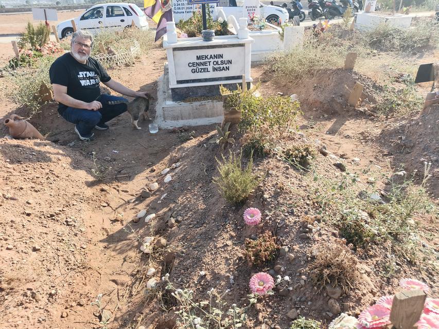 NANKÖR DEĞİL, ÇOK VEFALI ÇIKTI AYDIN'DA BİR KEDİ AYLARDIR ÖLEN SAHİBİNİN MEZARININ BAŞINDAN AYRILMIYOR