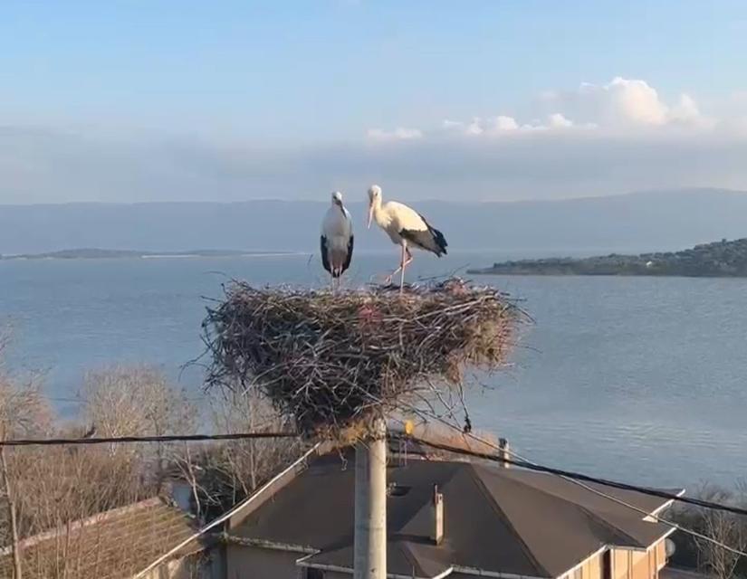 BELGESELLERE KONU OLAN YAREN'İN ARDINDAN EŞİ NAZLI DA BALIKÇI ADEM AMCA'NIN YANINA GELDİ YAREN LEYLEK'İN EŞİNE KAVUŞMA ANI KAMERAYA YANSIDI MİLYONLARIN DÖRT GÖZLE BEKLEDİĞİ KAVUŞMA ANI KAMERAYA YANSIDI