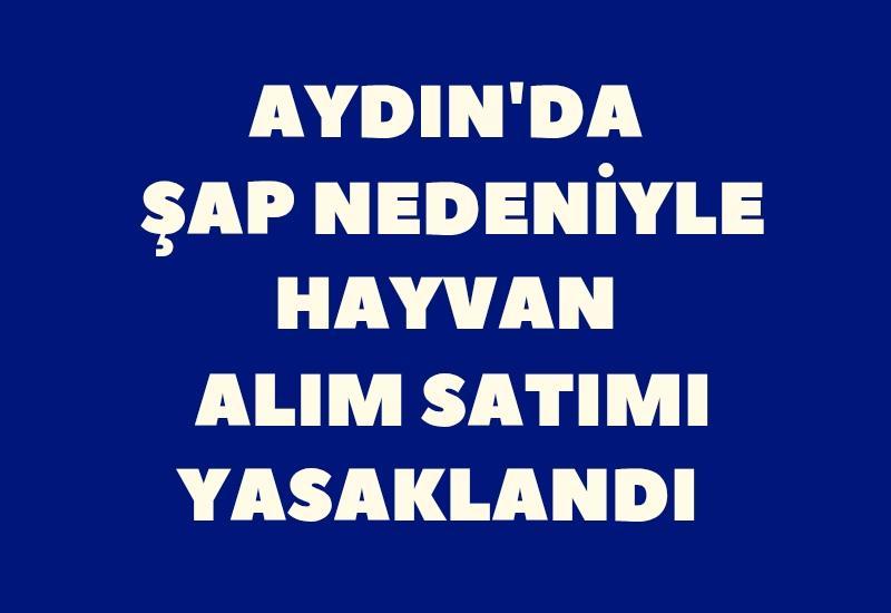Aydın'da şap nedeniyle hayvan alım satımı yasaklandı