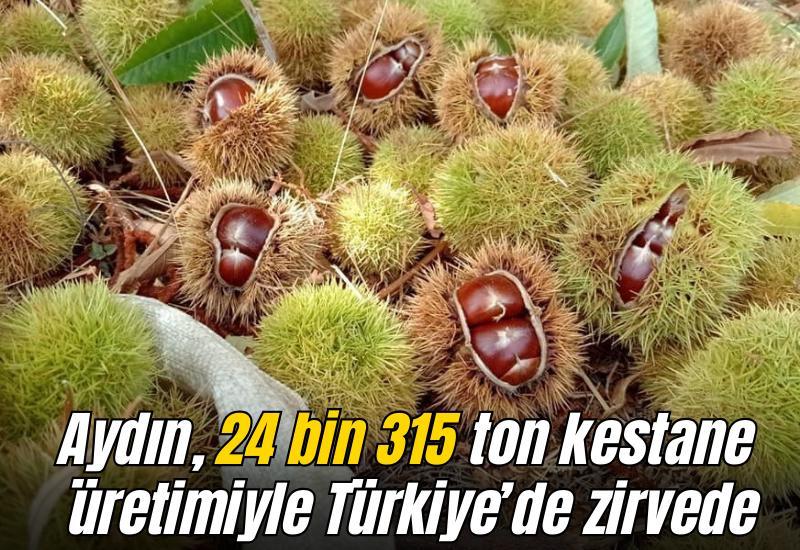 Aydın, 24 bin 315 ton kestane üretimiyle Türkiye’de zirvede