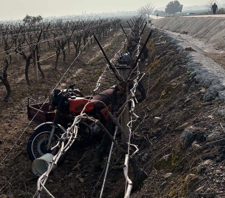Sepetli motosiklet üzüm bağına uçtu: 1 ölü