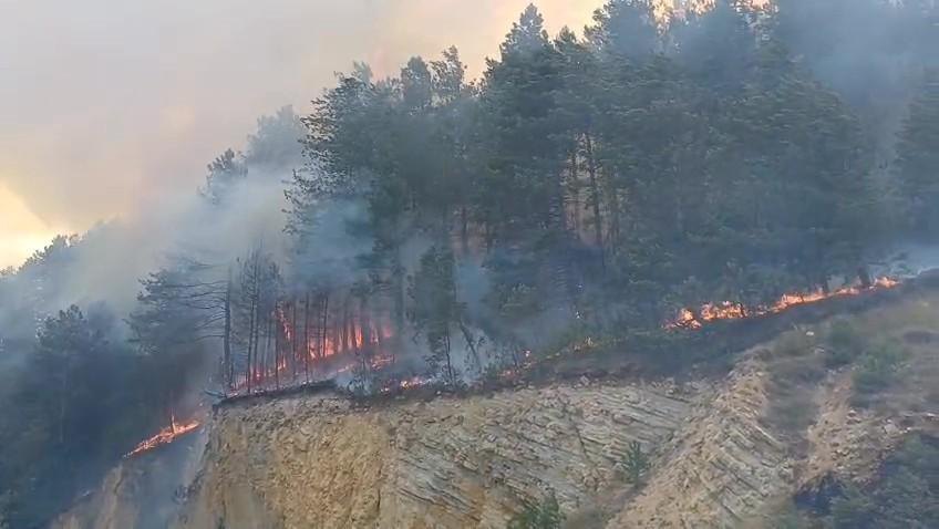 Bolu'da orman yangını başladı