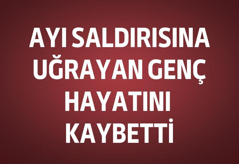 Ayı saldırısına uğrayan genç hayatını kaybetti