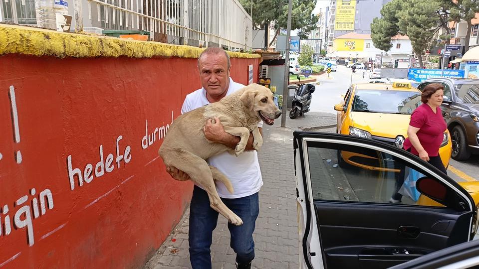 Aydın'da taksiciden hayvanseverlik dersi