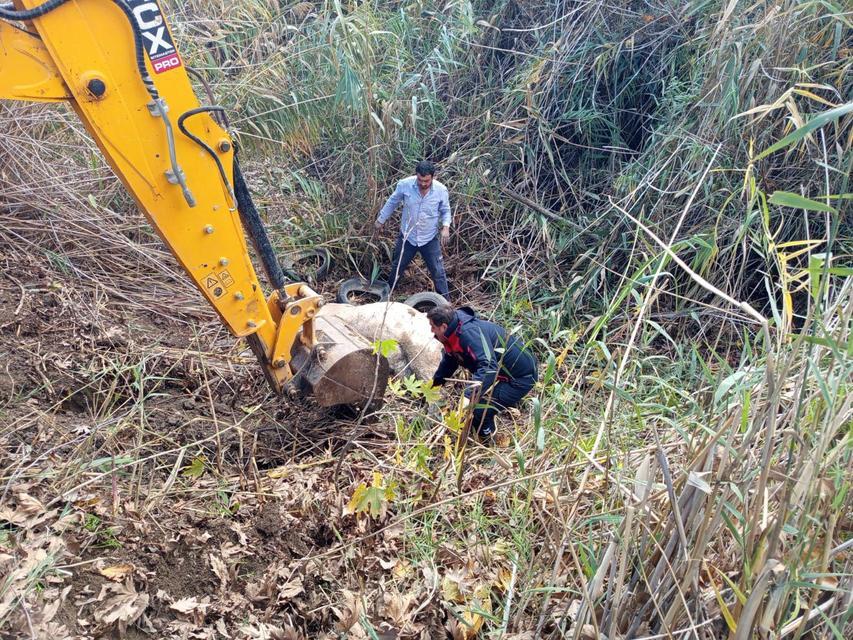Dereye düşen inek kurtarıldı