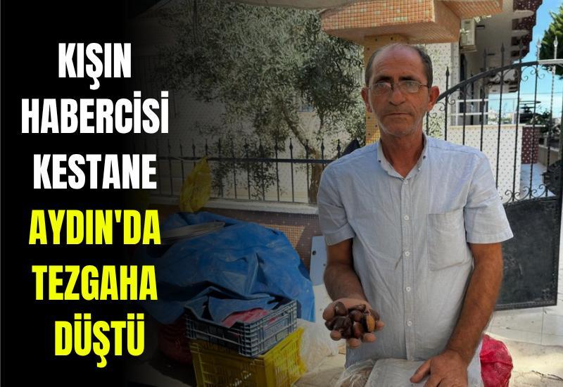 Kışın habercisi kestane Aydın'da tezgaha düştü