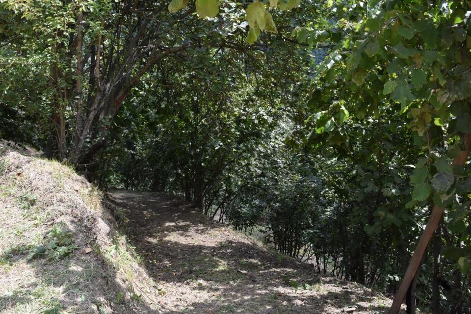Aynı aileye 8 ayda ikinci acı haber: Oğlunun ardından baba da hayatını kaybetti