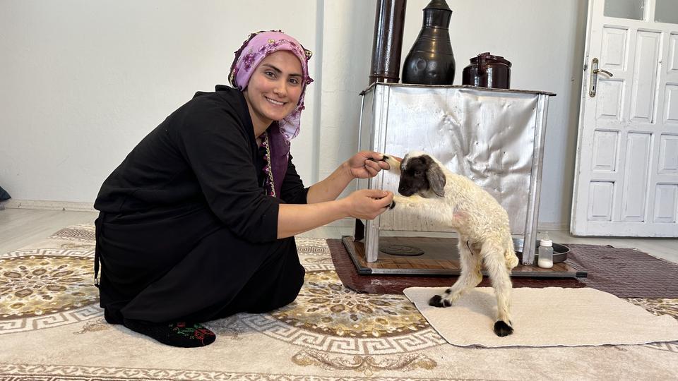 Annesiz kalan kuzu ailenin ‘Umut'u oldu