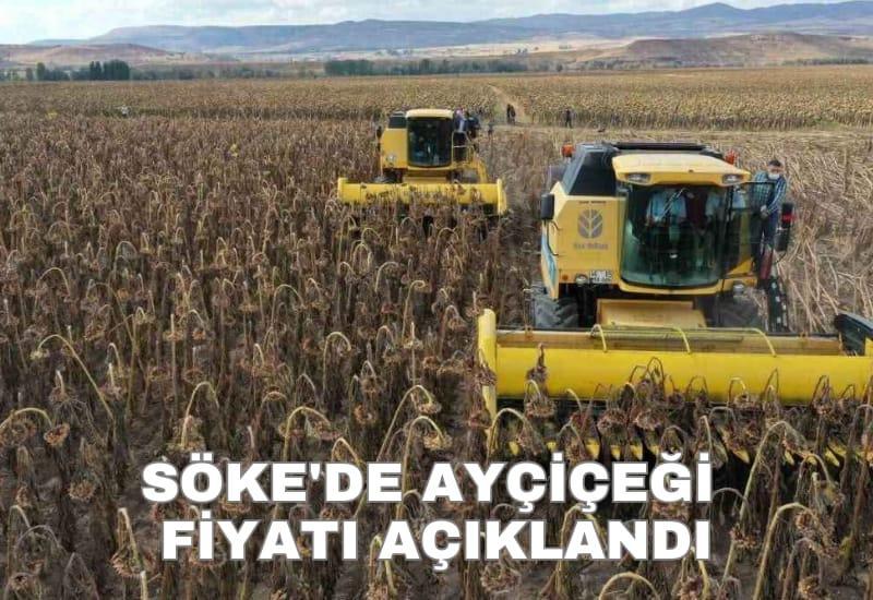 Söke'de ayçiçeği fiyatı açıklandı