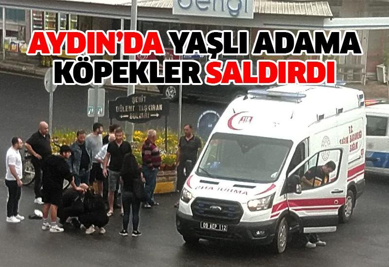 Aydın'da yaşlı adama köpekler saldırdı