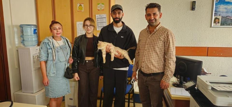 Aydın'da kayıp kedi çip sayesinde sahibine kavuştu