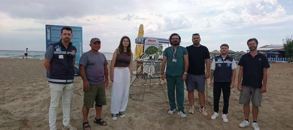 Didim Belediyesi ekiplerinin dikkati carettayı çakallardan korudu
