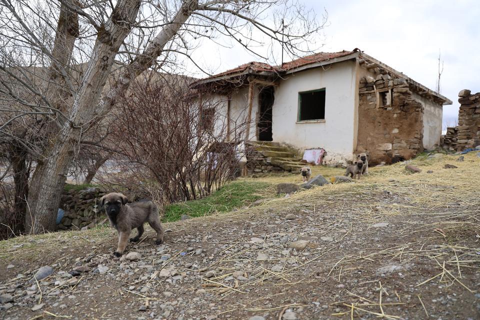 ÜÇ HARFLİLER SÖYLENTİSİ KÖYÜN TERK EDİLMESİNE NEDEN OLDU