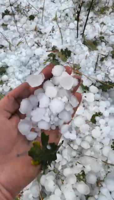 Dolu tarım alanlarına zarar verdi