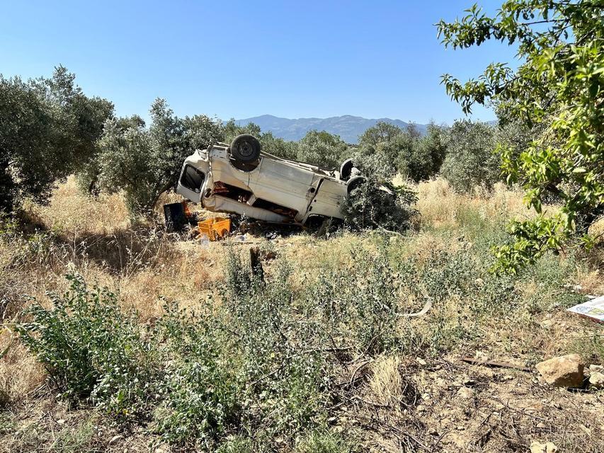 TİCARİ ARAÇ ZEYTİNLİĞE UÇTU: 1 ÖLÜ