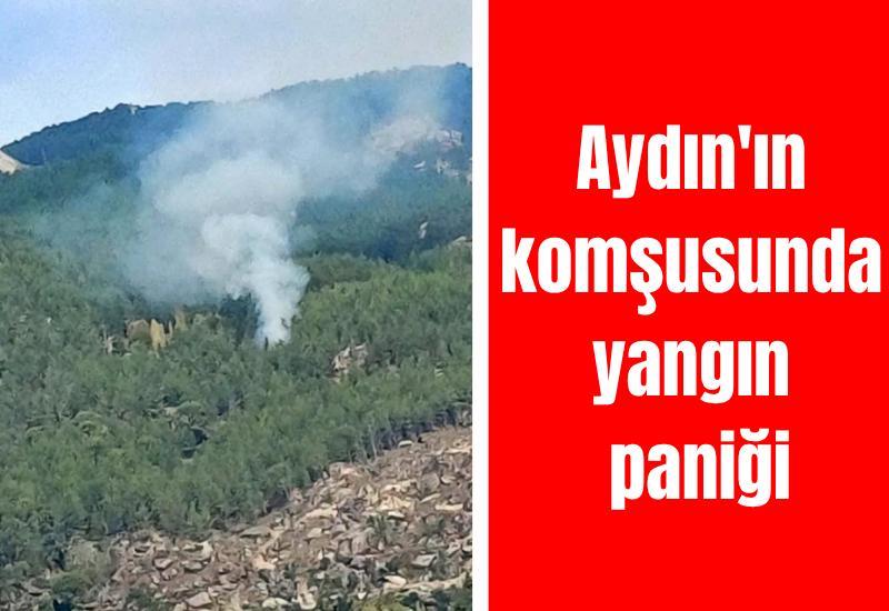 Aydın'ın komşusunda yangın paniği