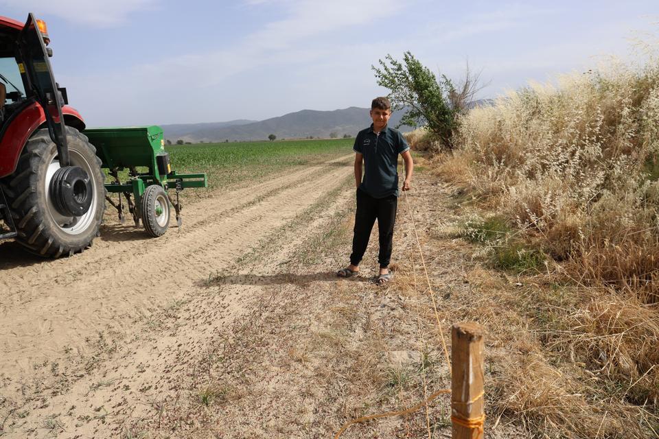 EGE'DE DOMUZ SORUNU ARTARAK DEVAM EDİYOR DOMUZLAR ÜRETİM MALİYETLERİNİ DE ARTTIRDI