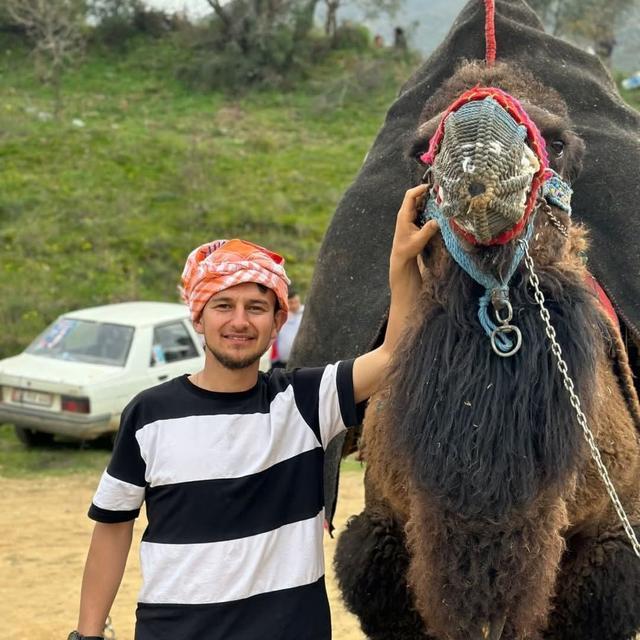 Köpeğe çarpmamak için ağaca çarpan sürücü hayatını kaybetti