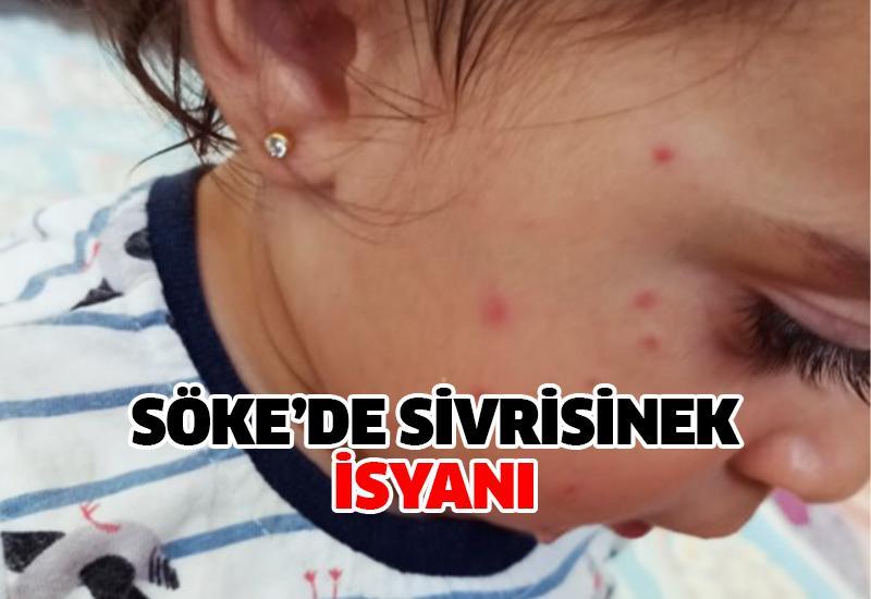 Söke'de sivrisinek isyanı