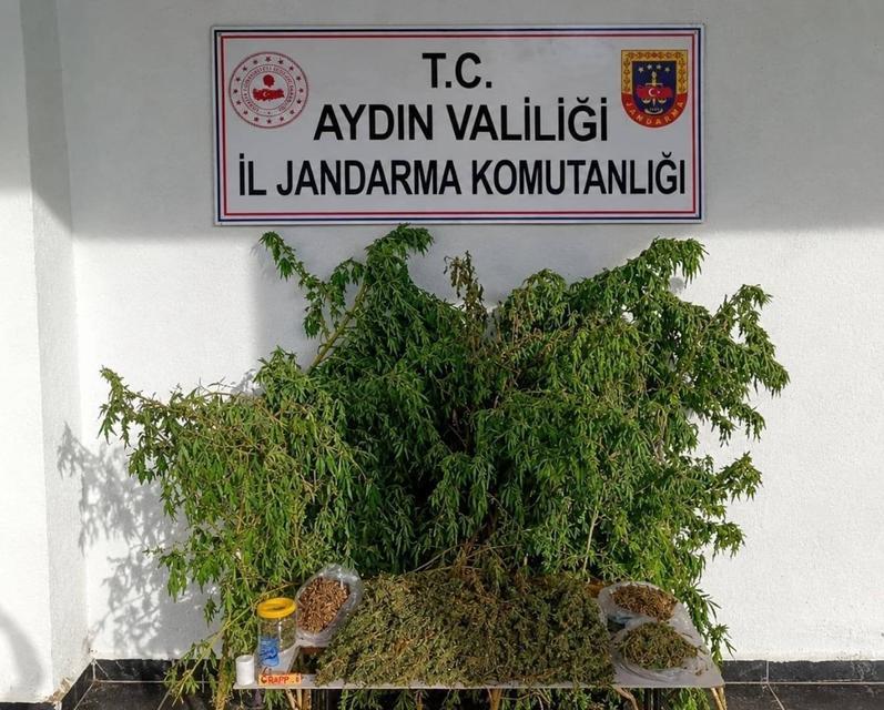 Aydın’da ikametten 3 kilo esrar ve 47 kök kenevir ele geçirildi