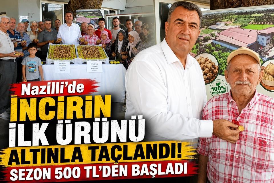 Aydın'da incirin ilk ürünü altınla taçlandı! Sezon 500 TL’den başladı
