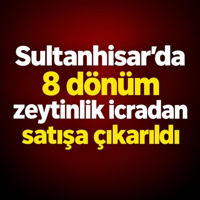 Sultanhisar’da 8 dönüm zeytinlik icradan satışa çıkarıldı