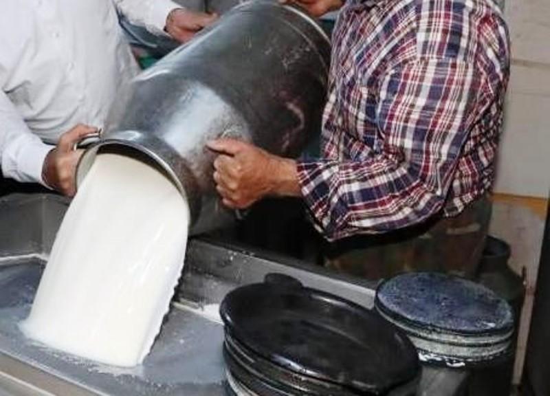 Ticari süt işletmelerince 999 bin 348 ton inek sütü toplandı