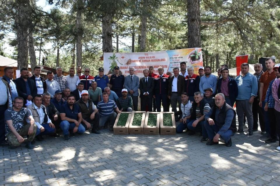 Kuyucak'ta 220 bin domates fidesi dağıtıldı