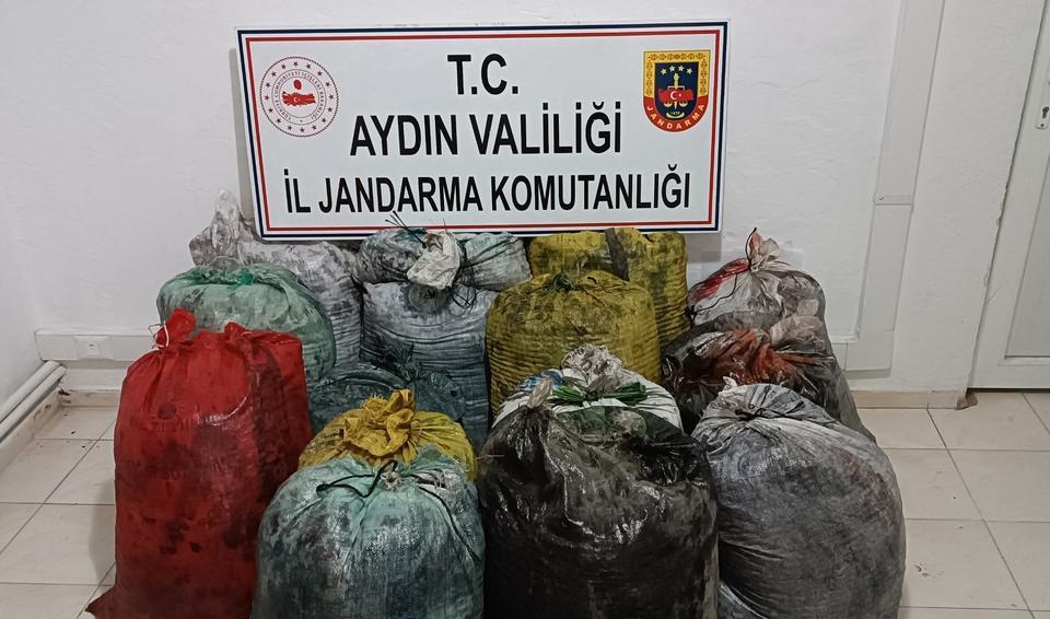 Aydın’da zeytin hırsızlarına suçüstü