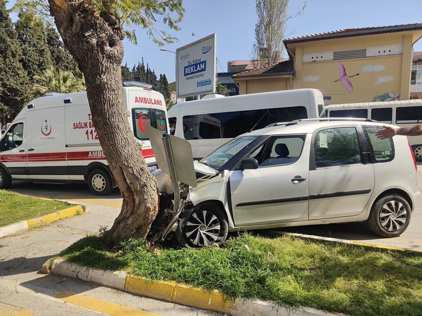TANSİYONU DÜŞEN SÜRÜCÜ, YAYALARA ÇARPMAMAK İÇİN AĞACA ÇARPTI
