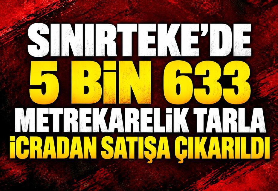 Sınırteke'de 5 bin 633 metrekarelik tarla icradan satışa çıkarıldı