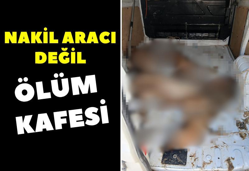 Nakil aracı değil, ölüm kafesi