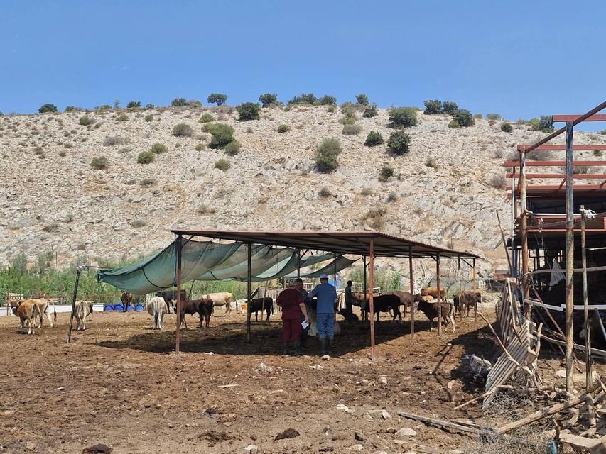 Aydın'da aşılama çalışmaları öne çekildi