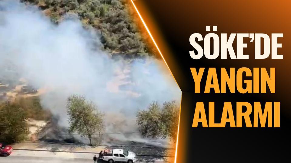 Söke’de yangın alarmı: Alevler kontrol altına alındı