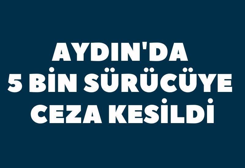 Aydın'da 5 bin 930 sürücüye ceza kesildi
