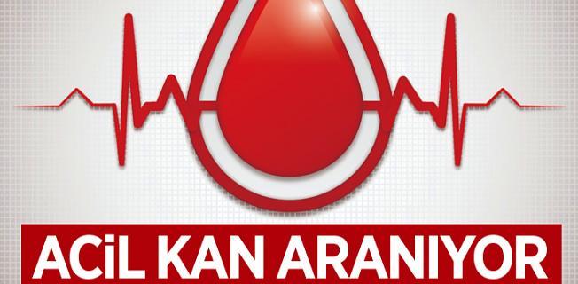 Aydın'da acil kan aranıyor