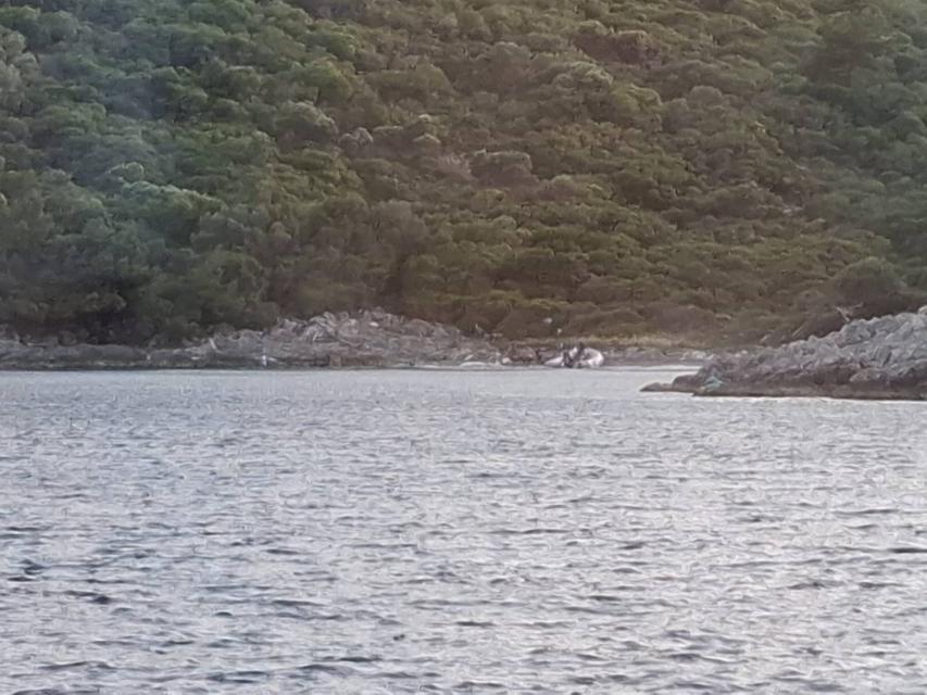 Kuşadası'nda yasak alana botla giren 3 kişiye para cezası