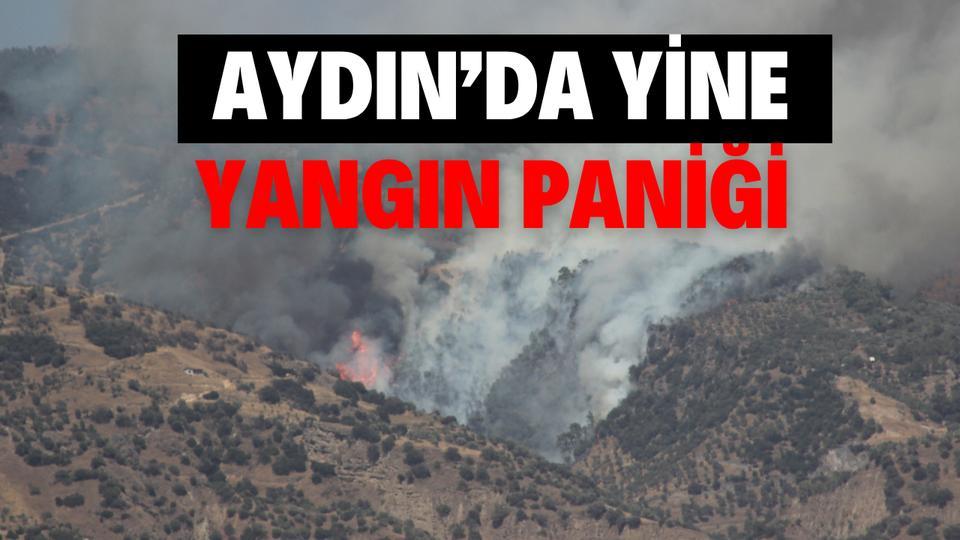 Aydın’da yine yangın paniği