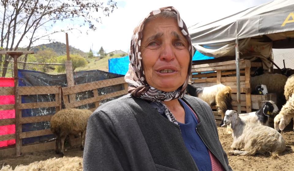 Sürüsünü kurtlara kaptıran kadın gözyaşlarını tutamadı